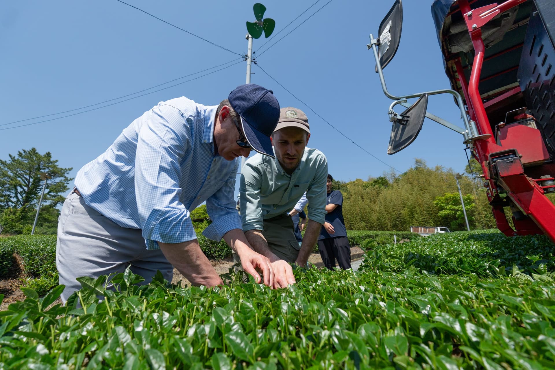 Gavin McFarlane and Fife Symington at a partner matcha grower in Japan