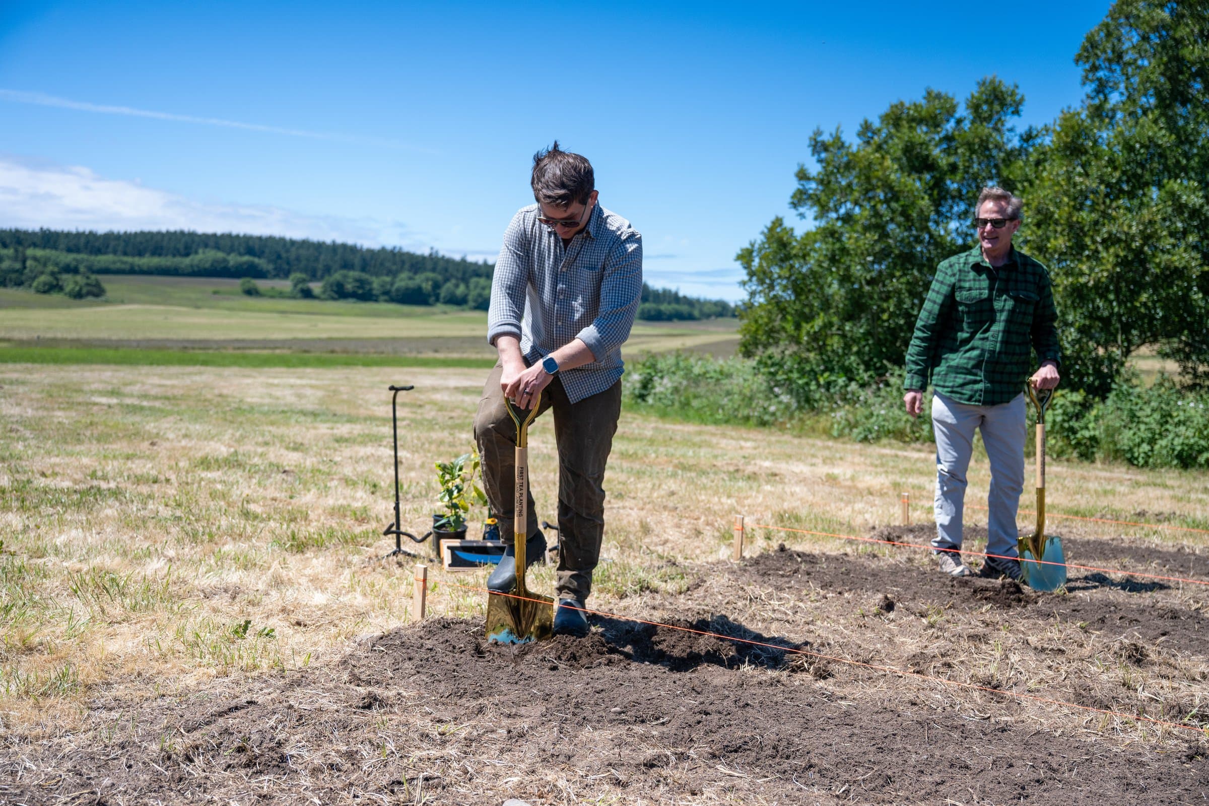 First tea planting at Vale Farms on Whidbey Island