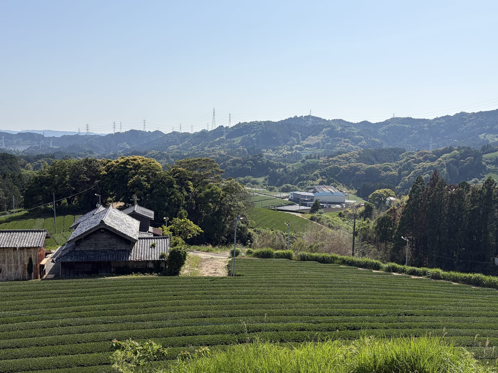 Tea fields and a farmhouse in the hills of Kakegawa, Shizuoka
