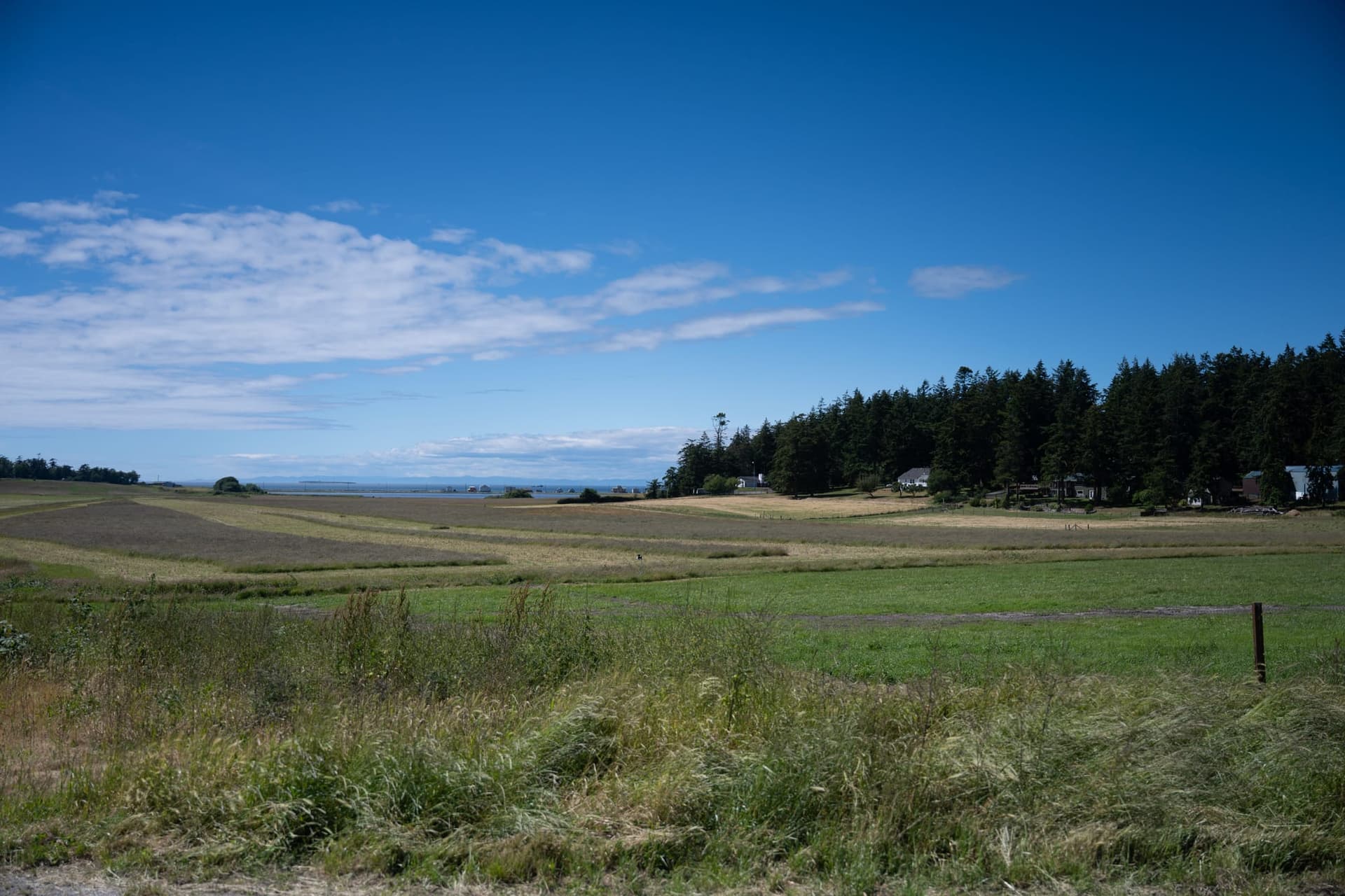 Open sky over farmland on Whidbey Island, Washington