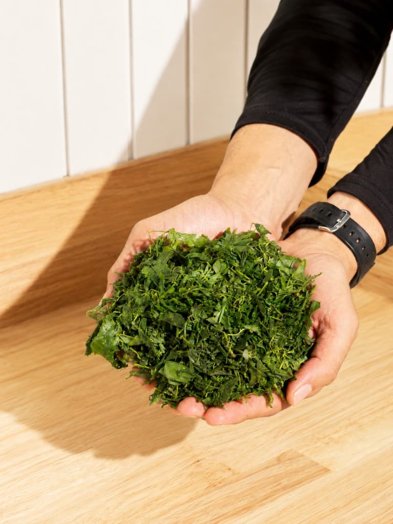 Hands holding freshly processed tea leaves on a wooden surface